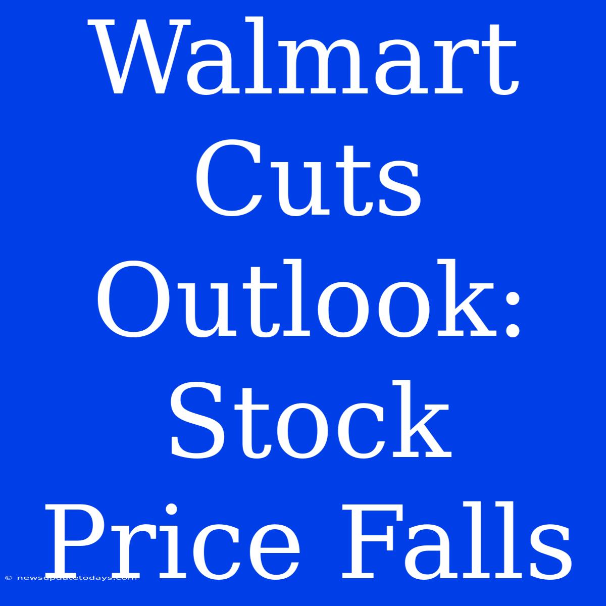 Walmart Cuts Outlook: Stock Price Falls