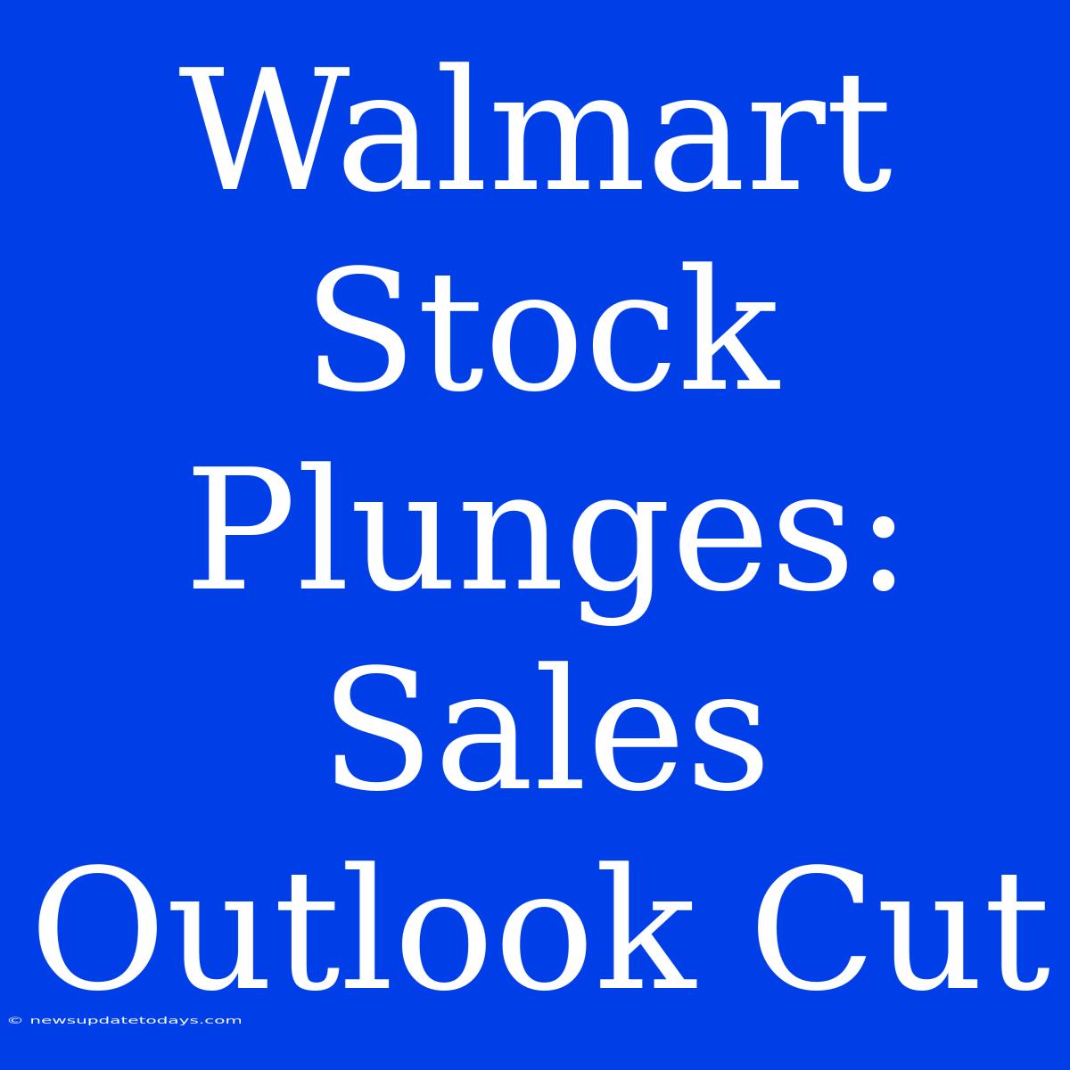 Walmart Stock Plunges: Sales Outlook Cut