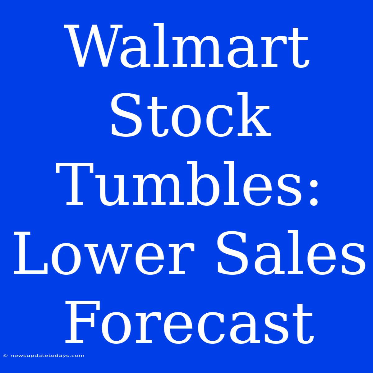 Walmart Stock Tumbles: Lower Sales Forecast