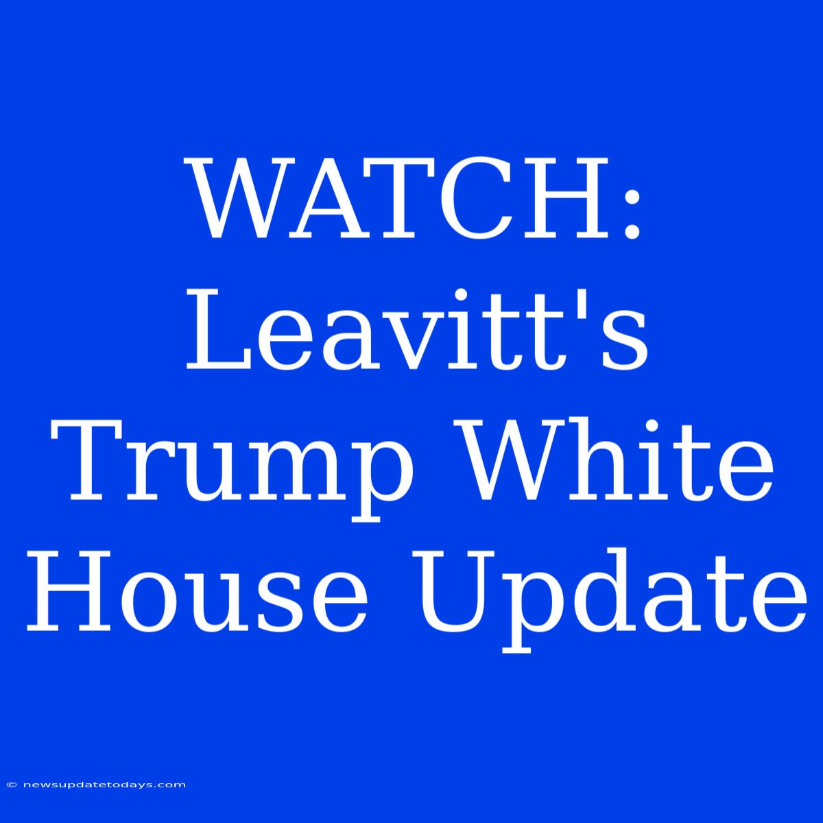 WATCH: Leavitt's Trump White House Update