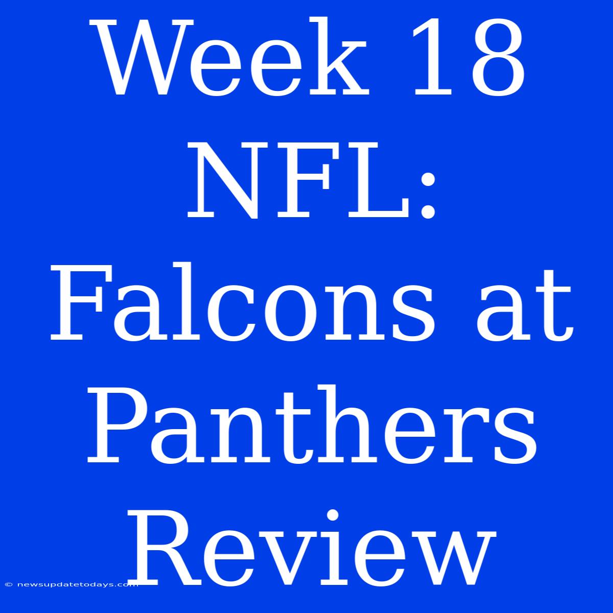 Week 18 NFL: Falcons At Panthers Review