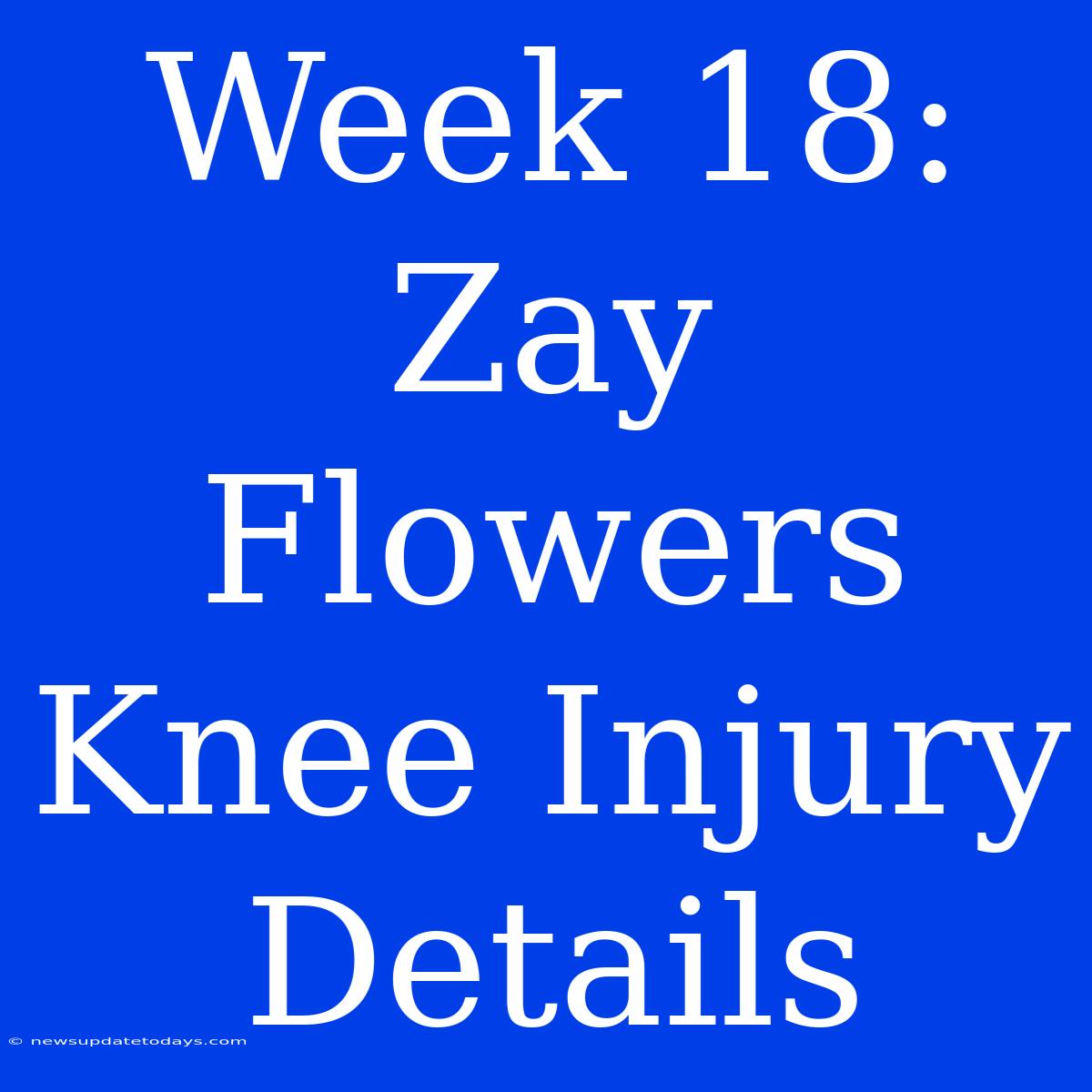 Week 18: Zay Flowers Knee Injury Details