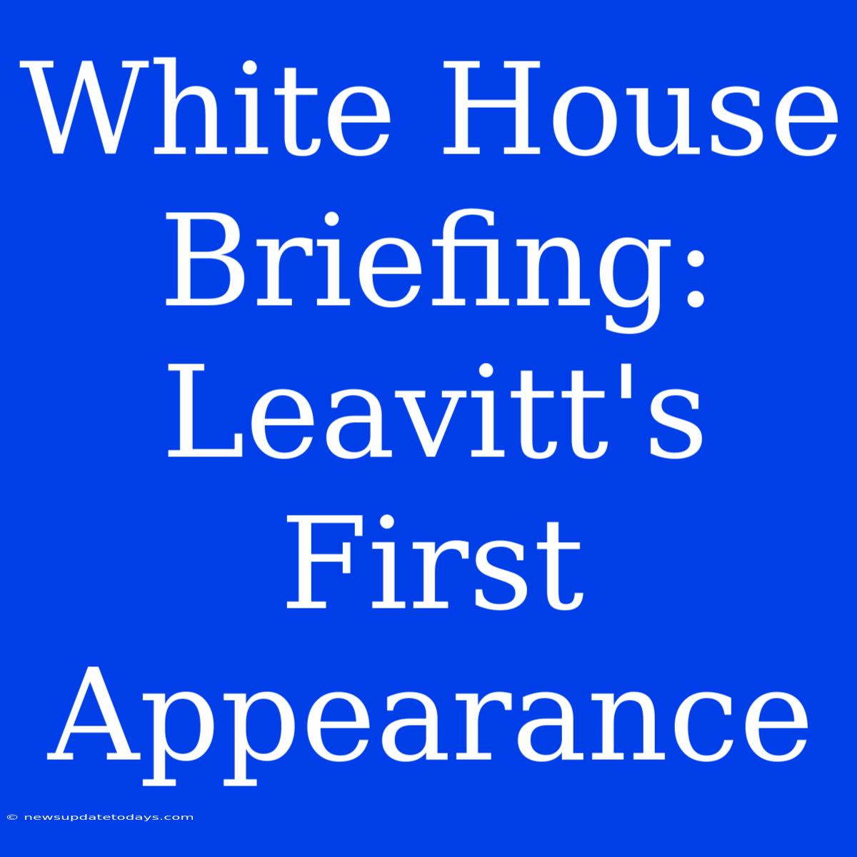 White House Briefing: Leavitt's First Appearance