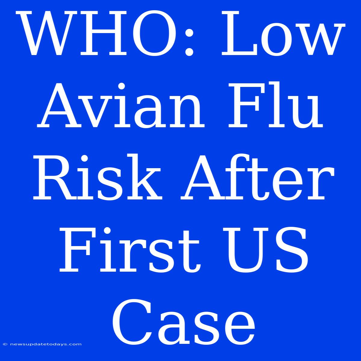 WHO: Low Avian Flu Risk After First US Case