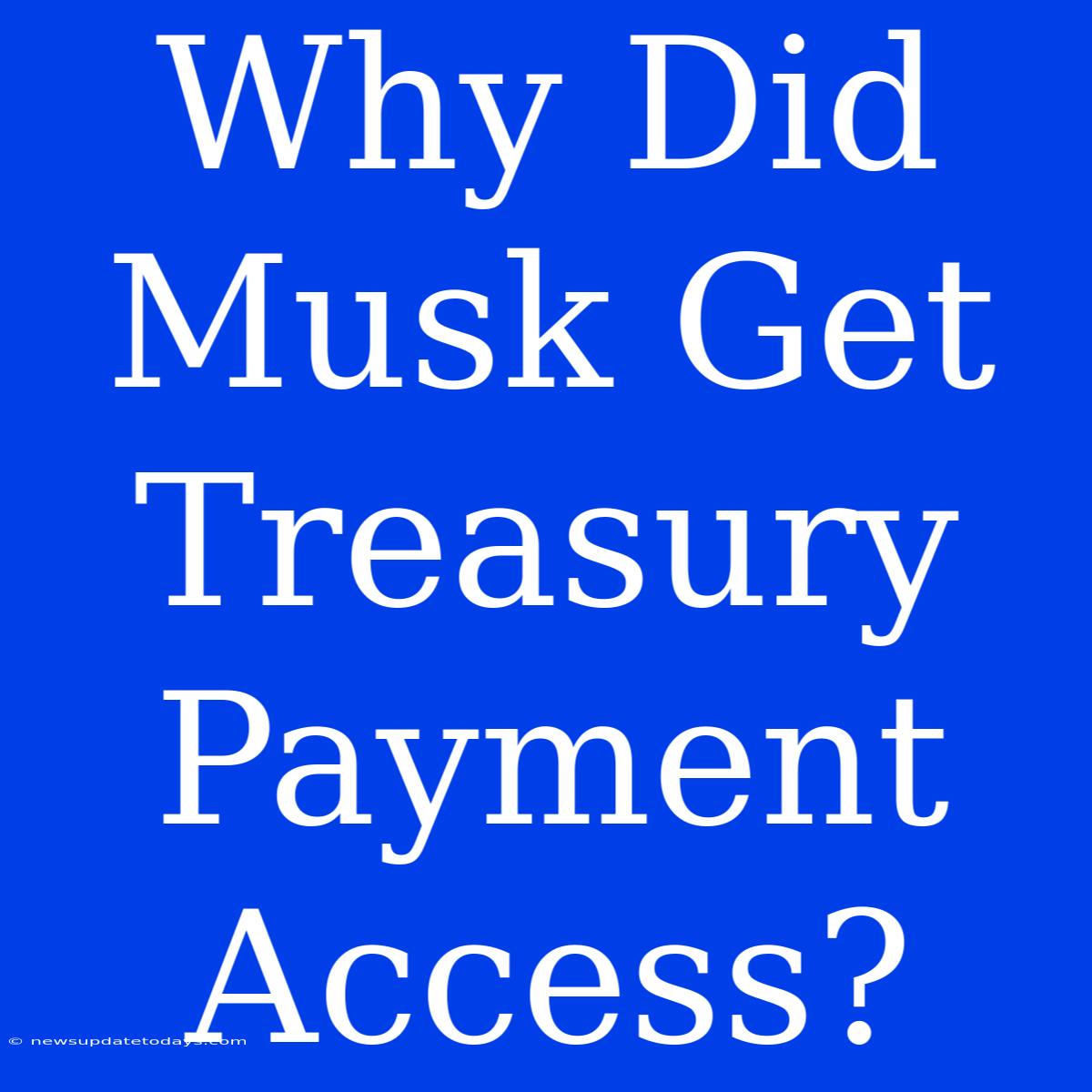 Why Did Musk Get Treasury Payment Access?