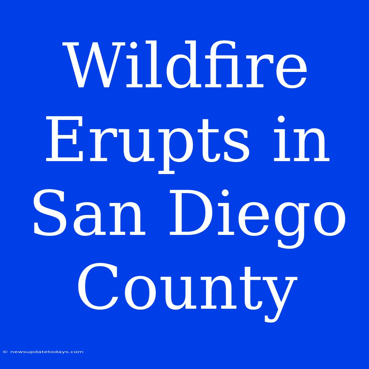 Wildfire Erupts In San Diego County