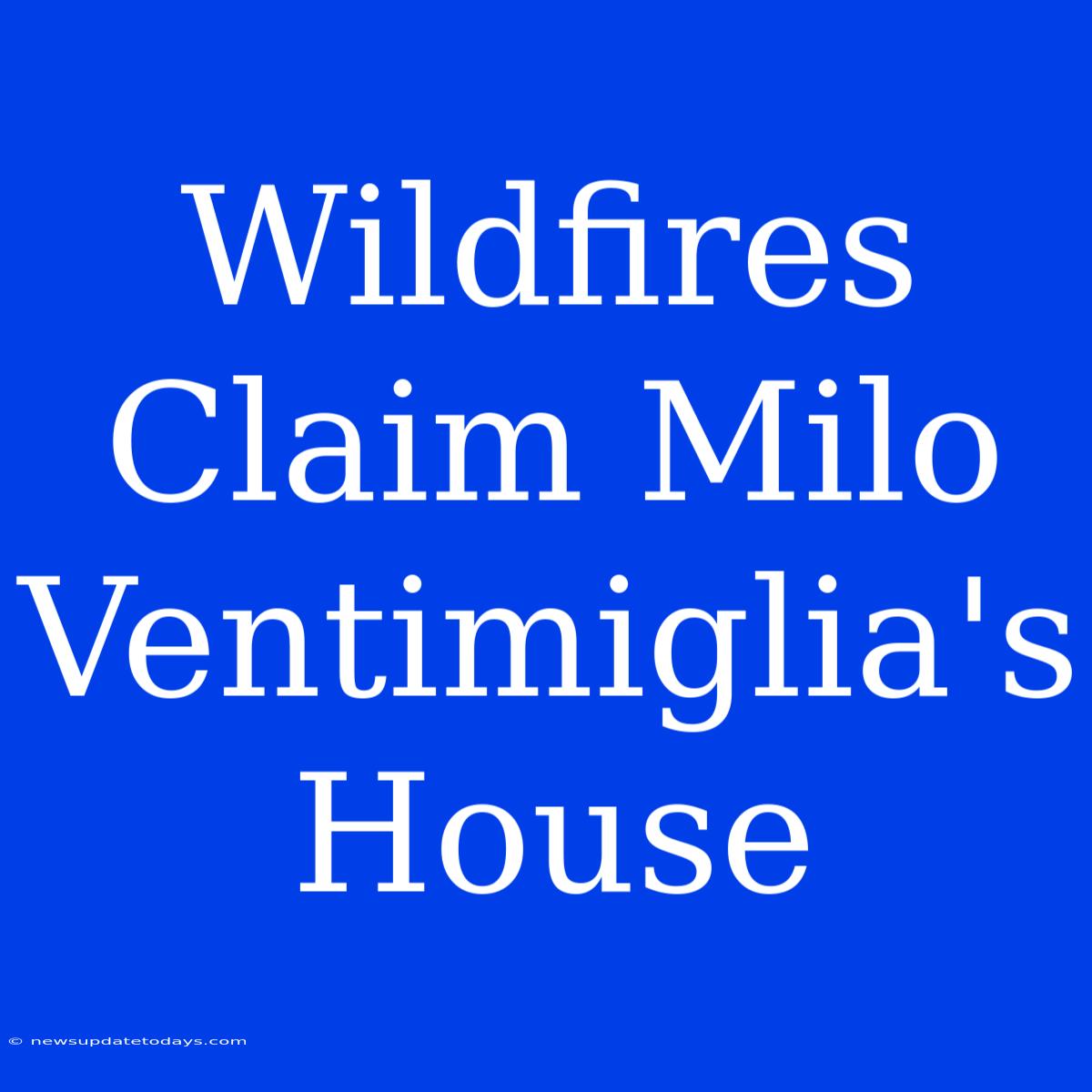 Wildfires Claim Milo Ventimiglia's House