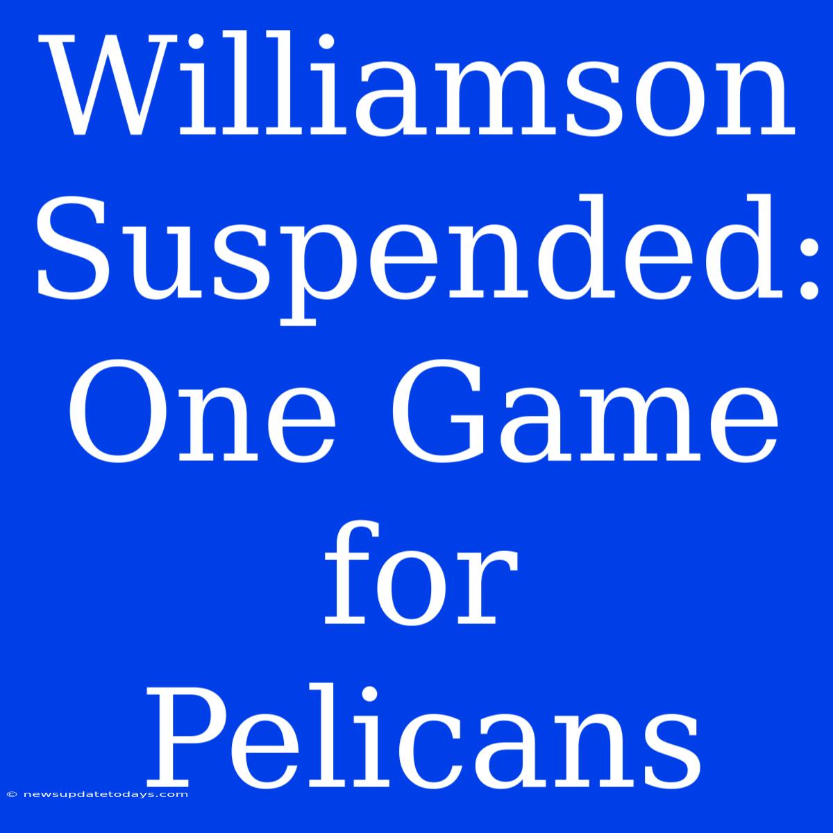 Williamson Suspended: One Game For Pelicans