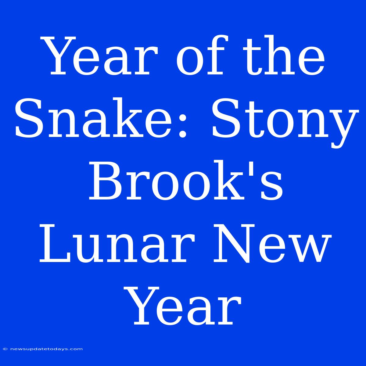 Year Of The Snake: Stony Brook's Lunar New Year