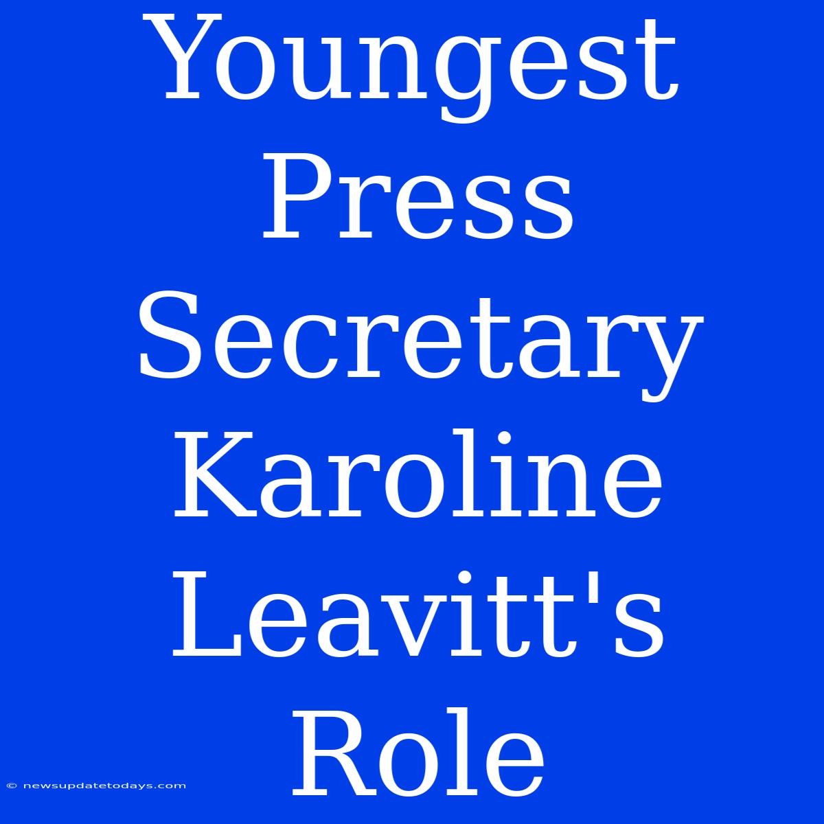 Youngest Press Secretary Karoline Leavitt's Role