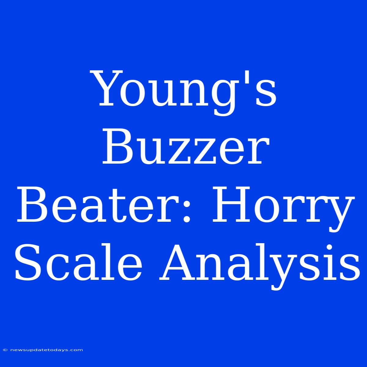 Young's Buzzer Beater: Horry Scale Analysis