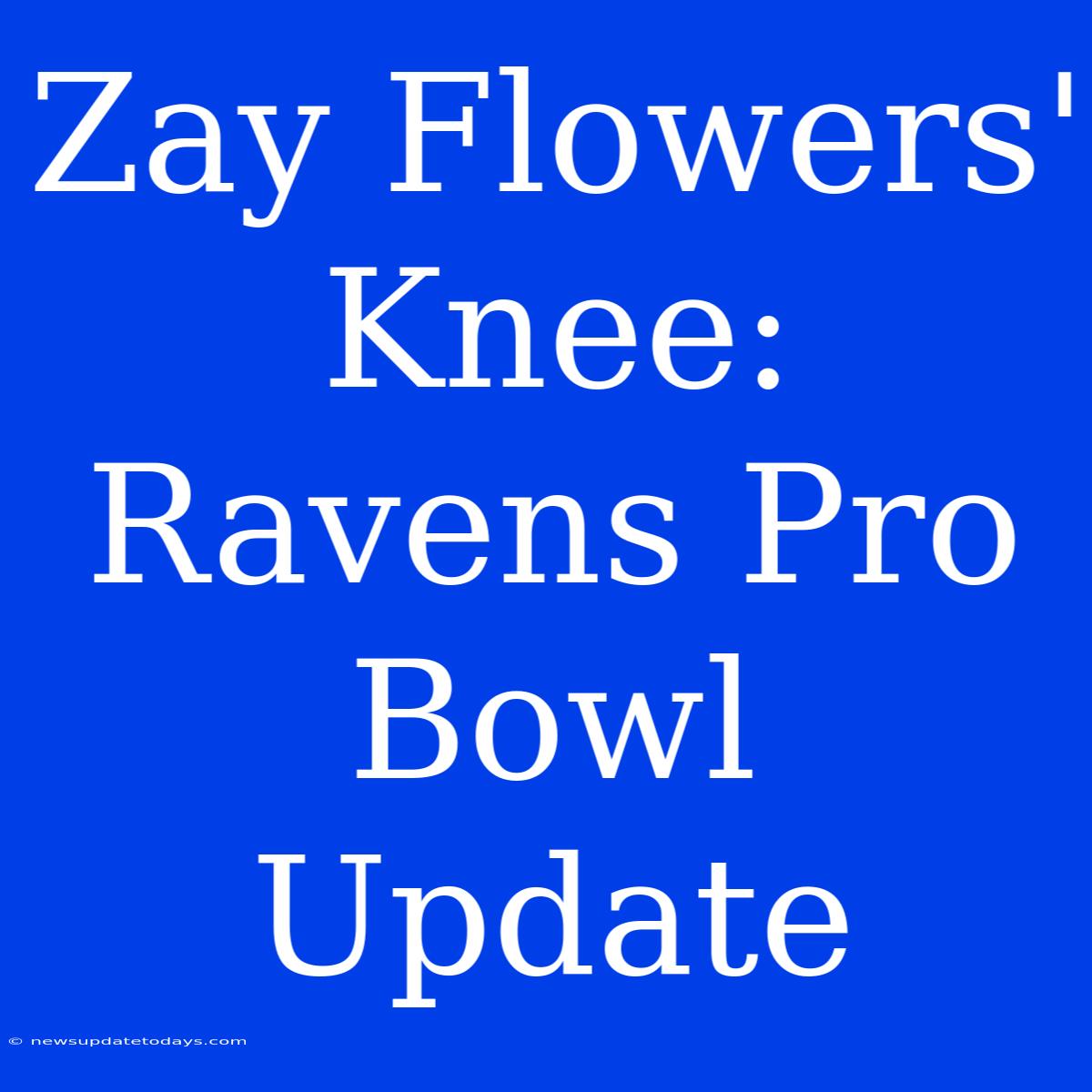 Zay Flowers' Knee: Ravens Pro Bowl Update