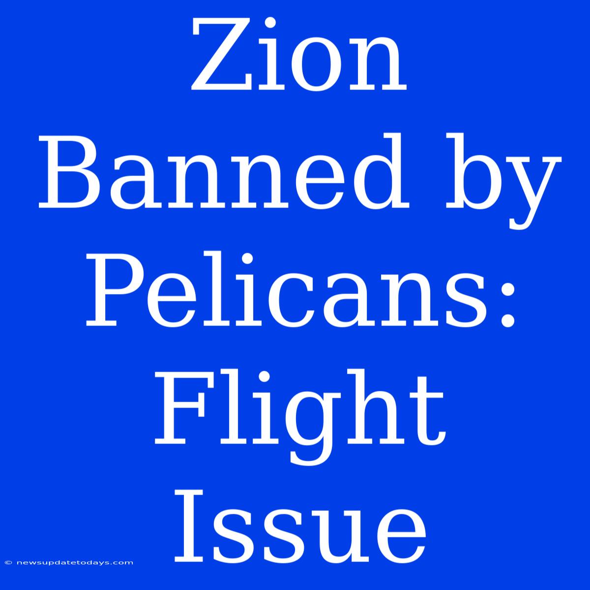 Zion Banned By Pelicans: Flight Issue