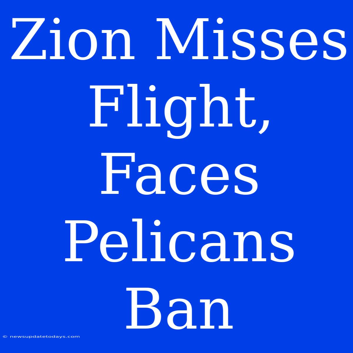 Zion Misses Flight, Faces Pelicans Ban