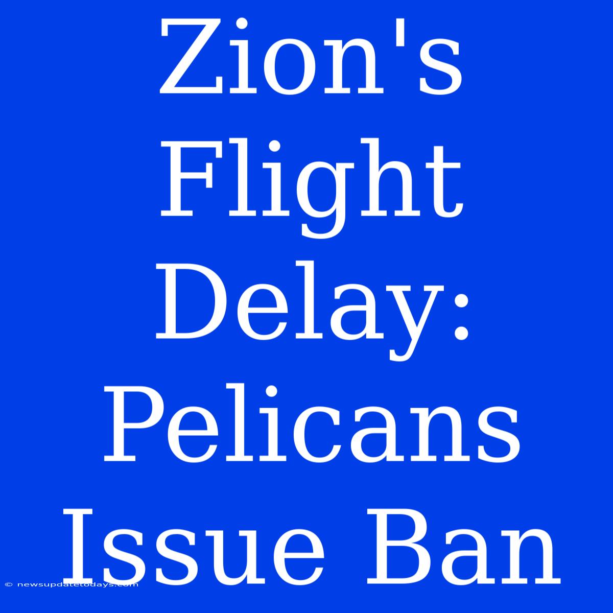 Zion's Flight Delay: Pelicans Issue Ban