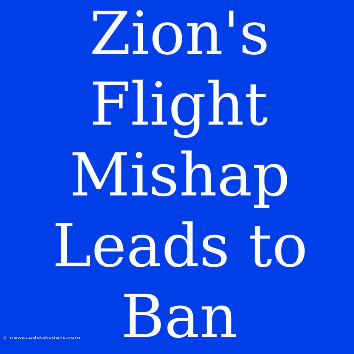 Zion's Flight Mishap Leads To Ban