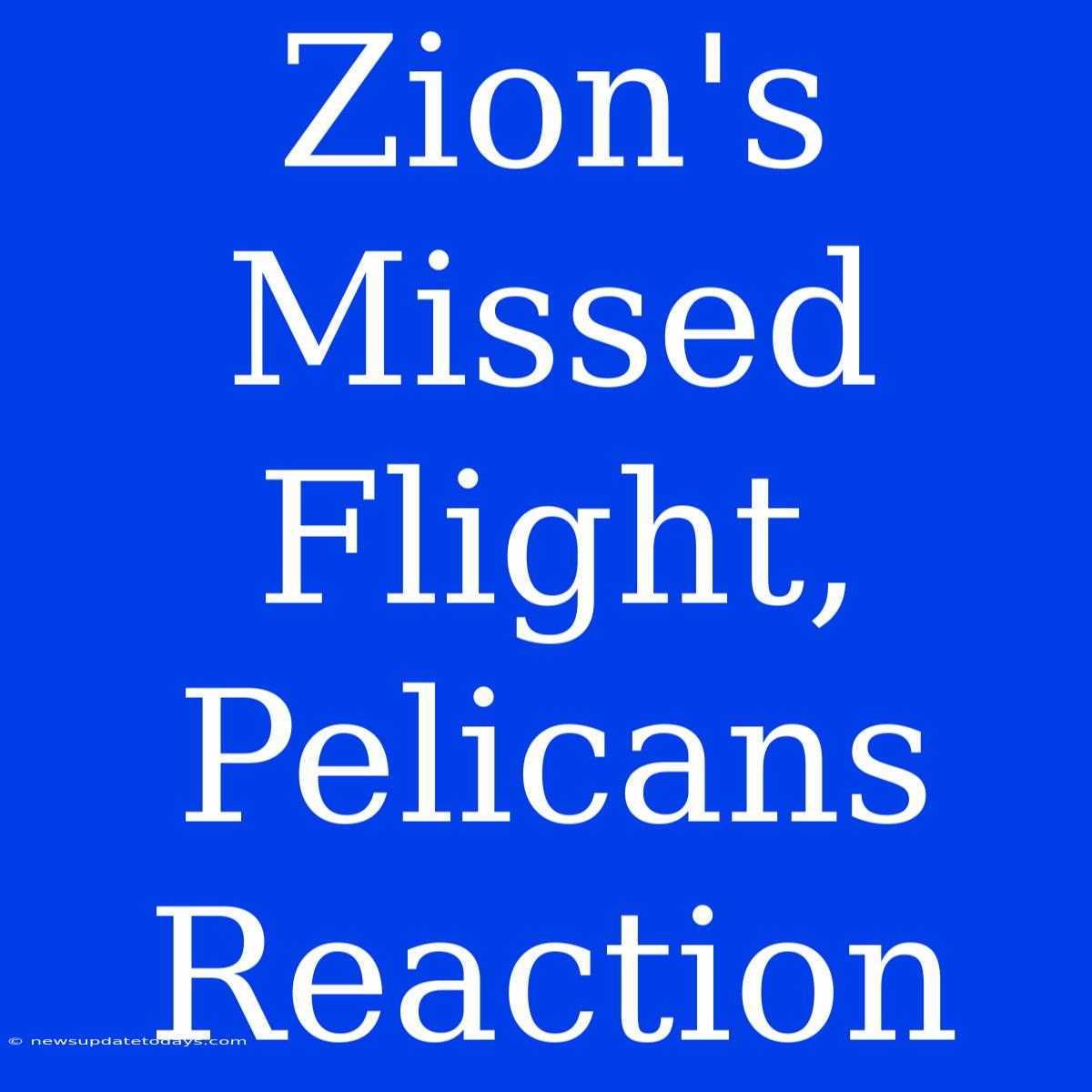 Zion's Missed Flight, Pelicans Reaction