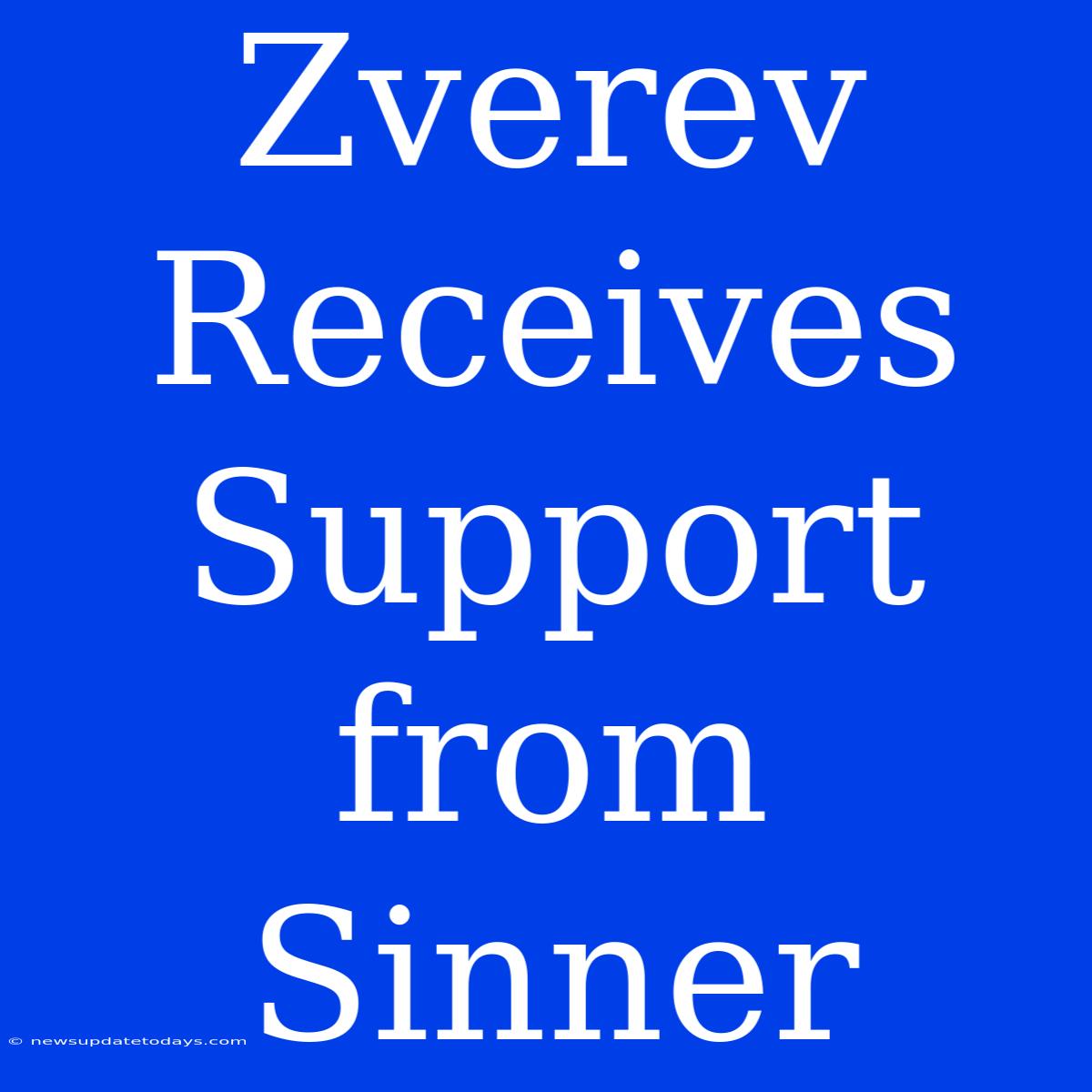 Zverev Receives Support From Sinner